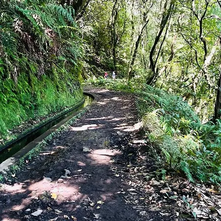 Porto Moniz Villa Порту-Мониш