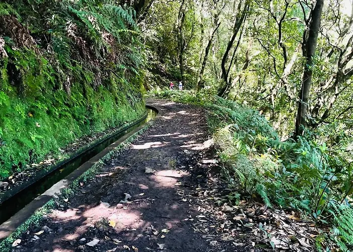 Porto Moniz Villa Porto Moniz